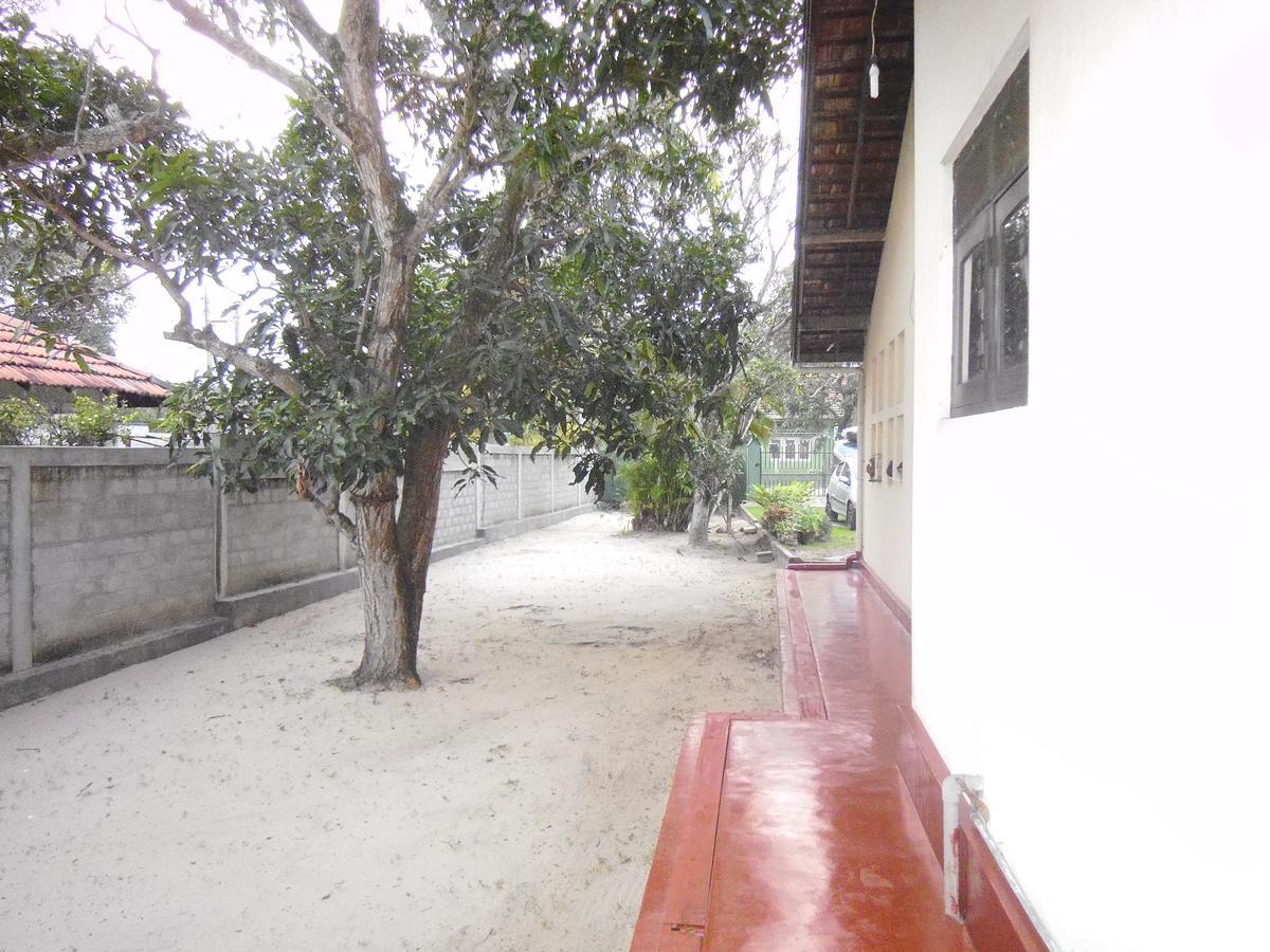 Mama'S Hostel By Taprobane Negombo Zewnętrze zdjęcie