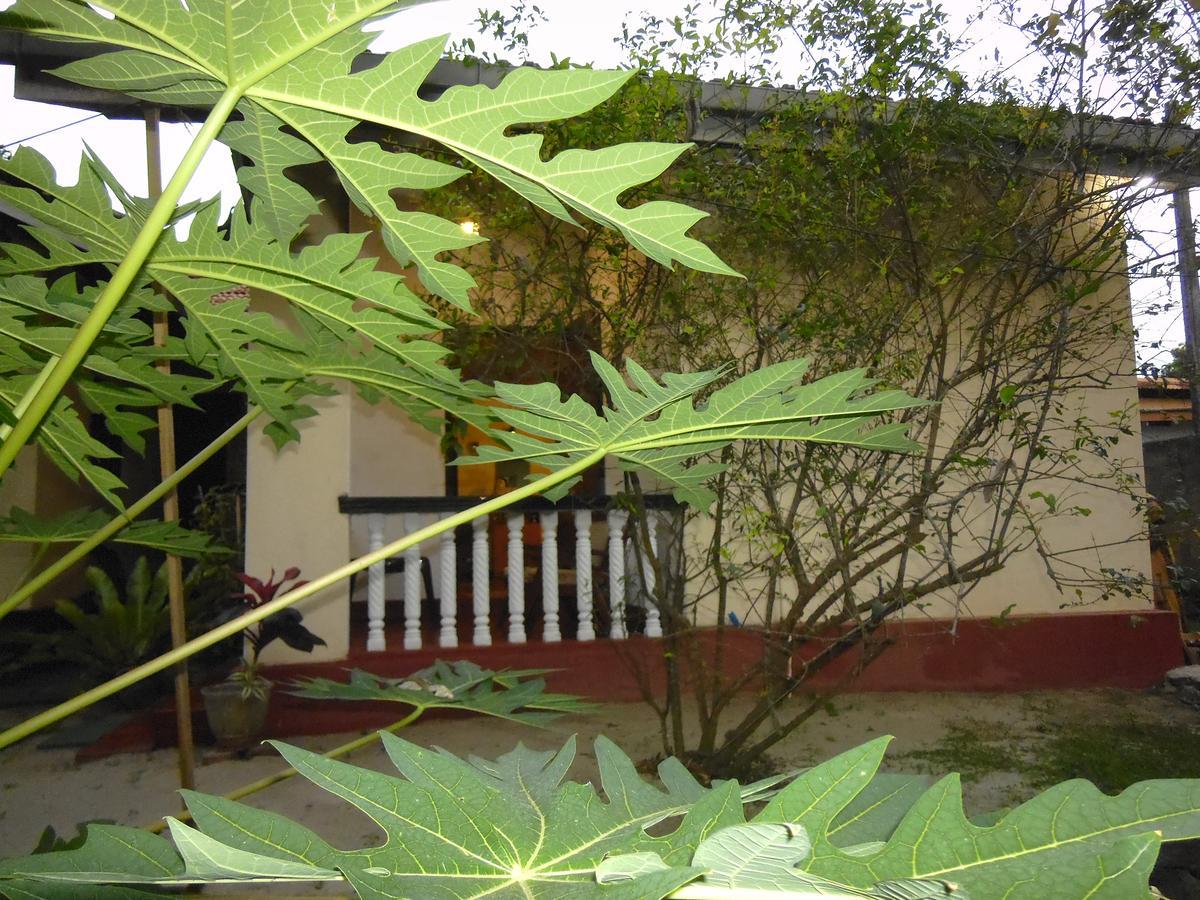 Mama'S Hostel By Taprobane Negombo Zewnętrze zdjęcie